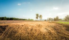 Plot / Land in Badlapur