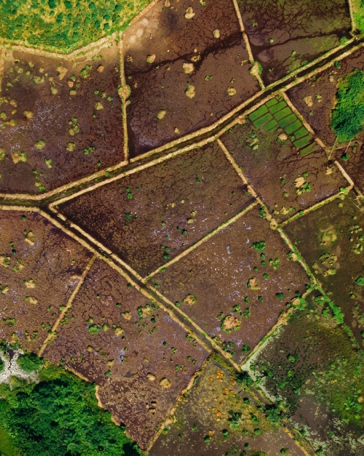 Plot / Land in Karjat