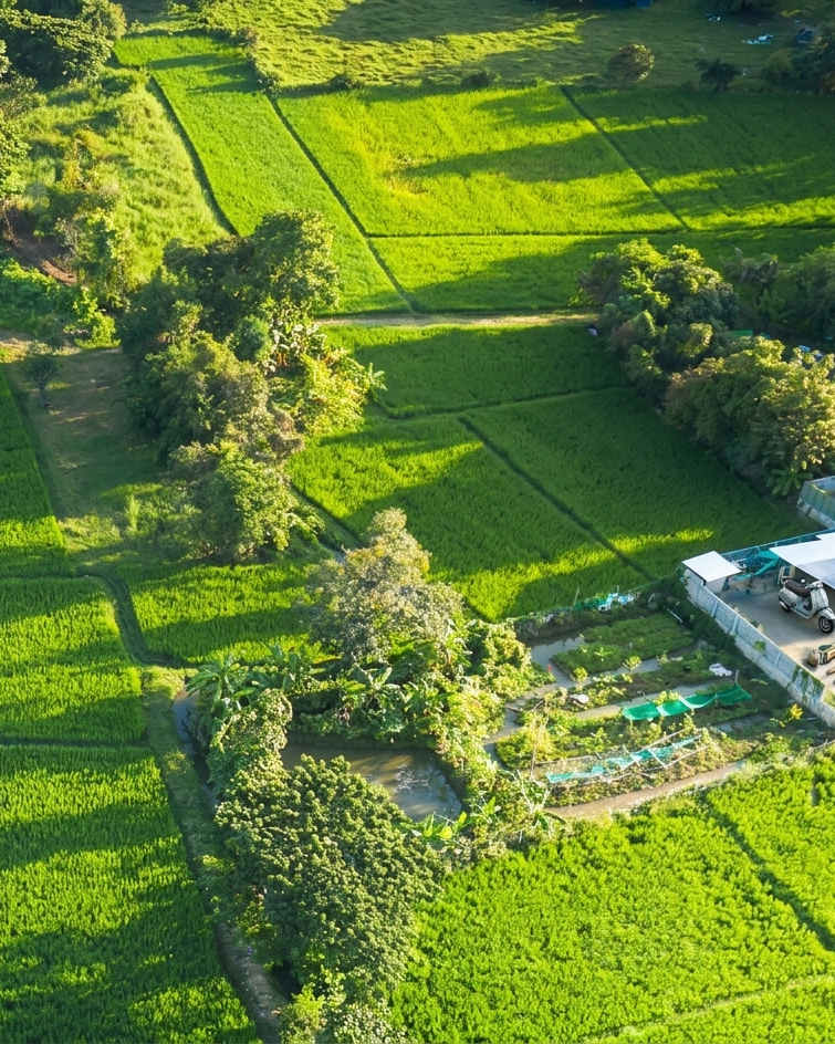 Plot / Land in Haveli